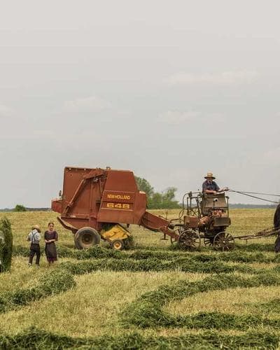 Naivasha Countryside Land Parcel